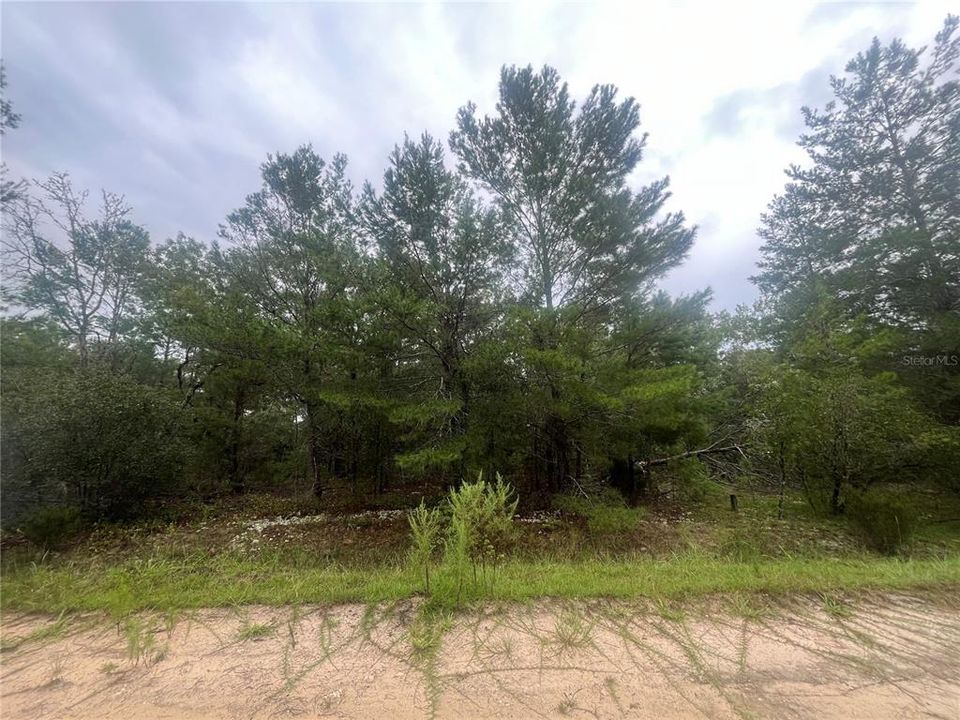 Active With Contract: $5,800 (0.23 acres)