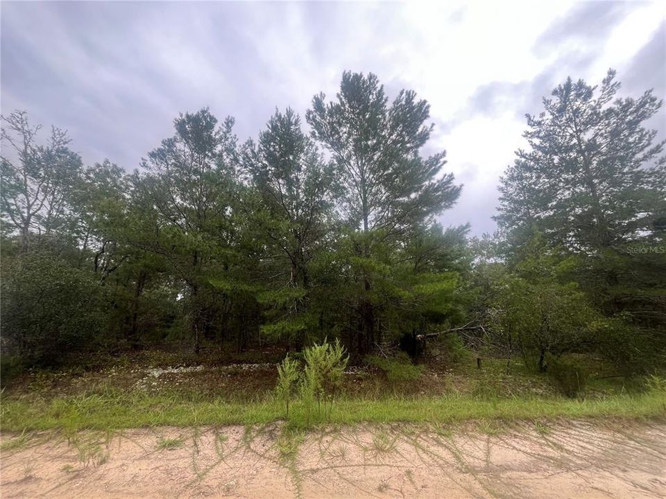 Active With Contract: $5,800 (0.23 acres)