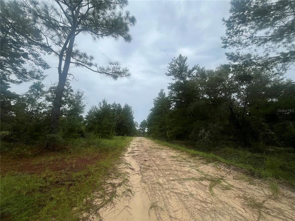 Active With Contract: $5,800 (0.23 acres)