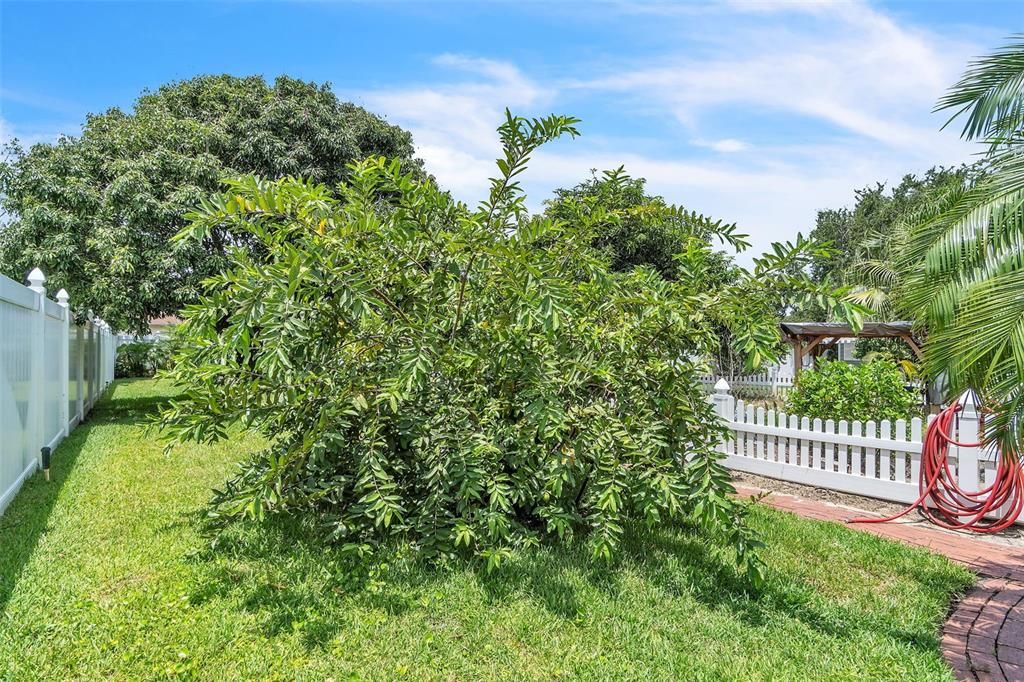 Active With Contract: $535,000 (4 beds, 2 baths, 2336 Square Feet)