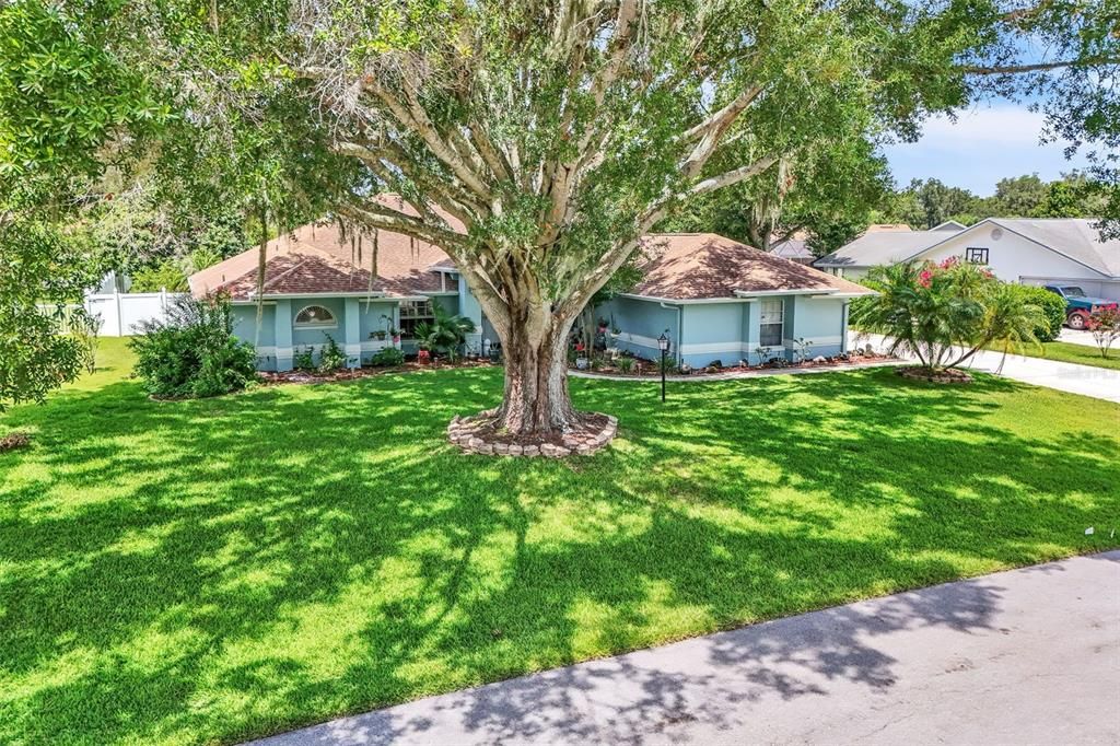 Active With Contract: $535,000 (4 beds, 2 baths, 2336 Square Feet)