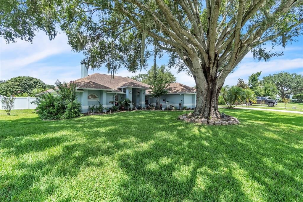 Active With Contract: $535,000 (4 beds, 2 baths, 2336 Square Feet)