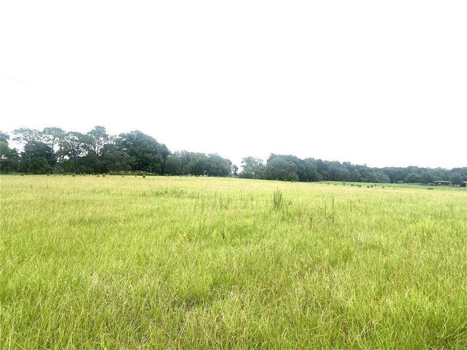Active With Contract: $310,000 (10.38 acres)