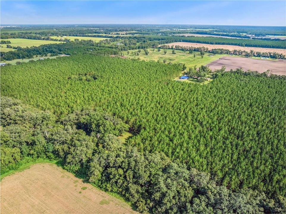 For Sale: $849,000 (3 beds, 2 baths, 3482 Square Feet)