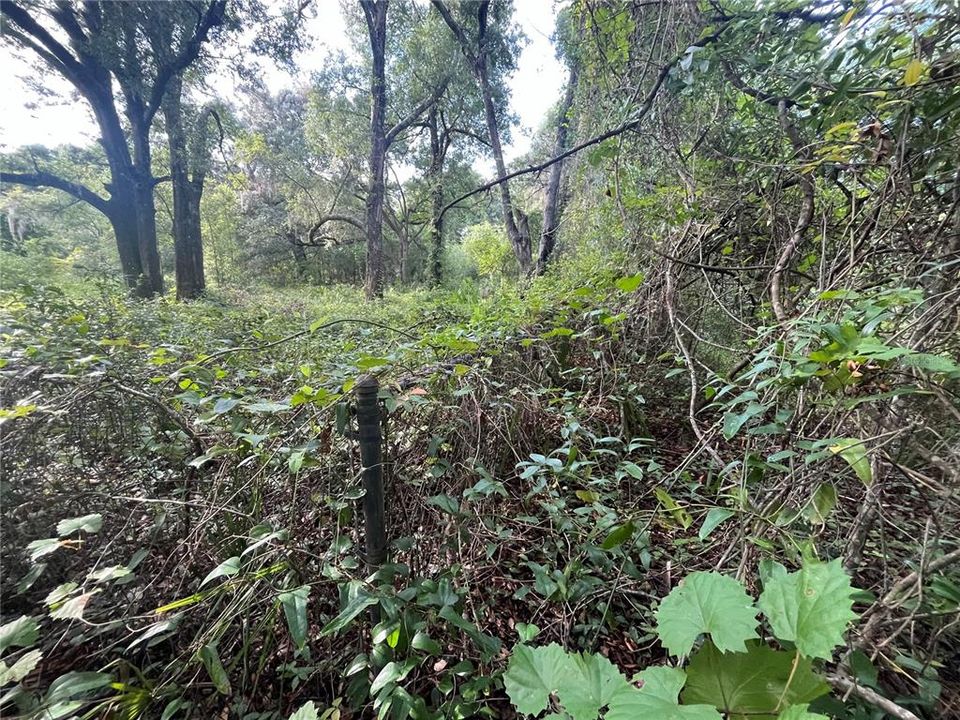 For Sale: $11,400 (0.32 acres)