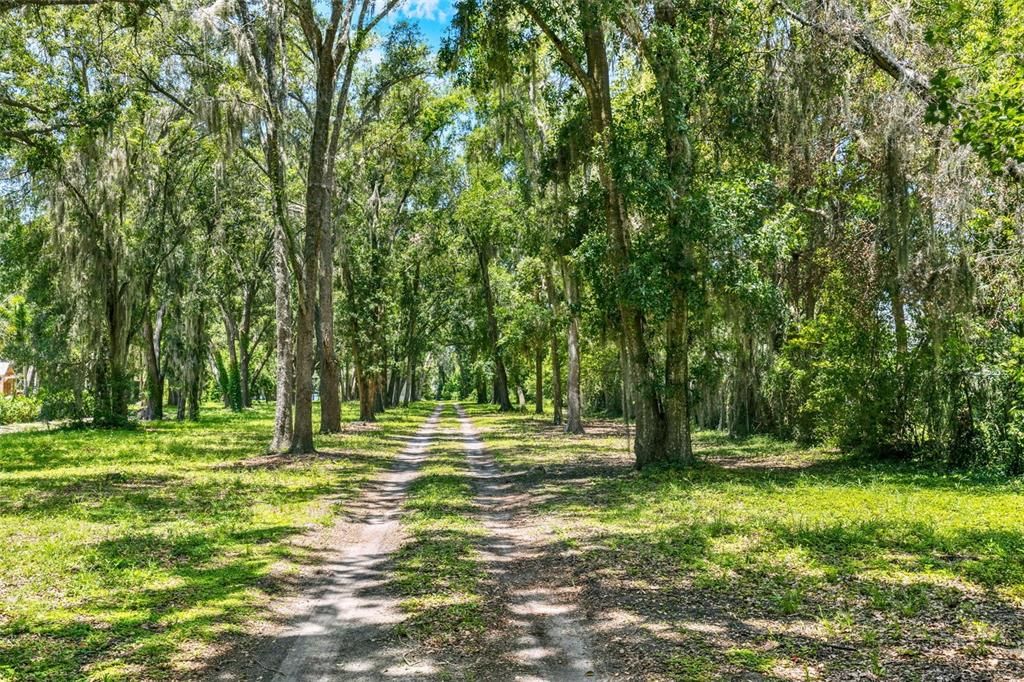 待售: $1,495,000 (5 贝兹, 5 浴室, 5032 平方英尺)