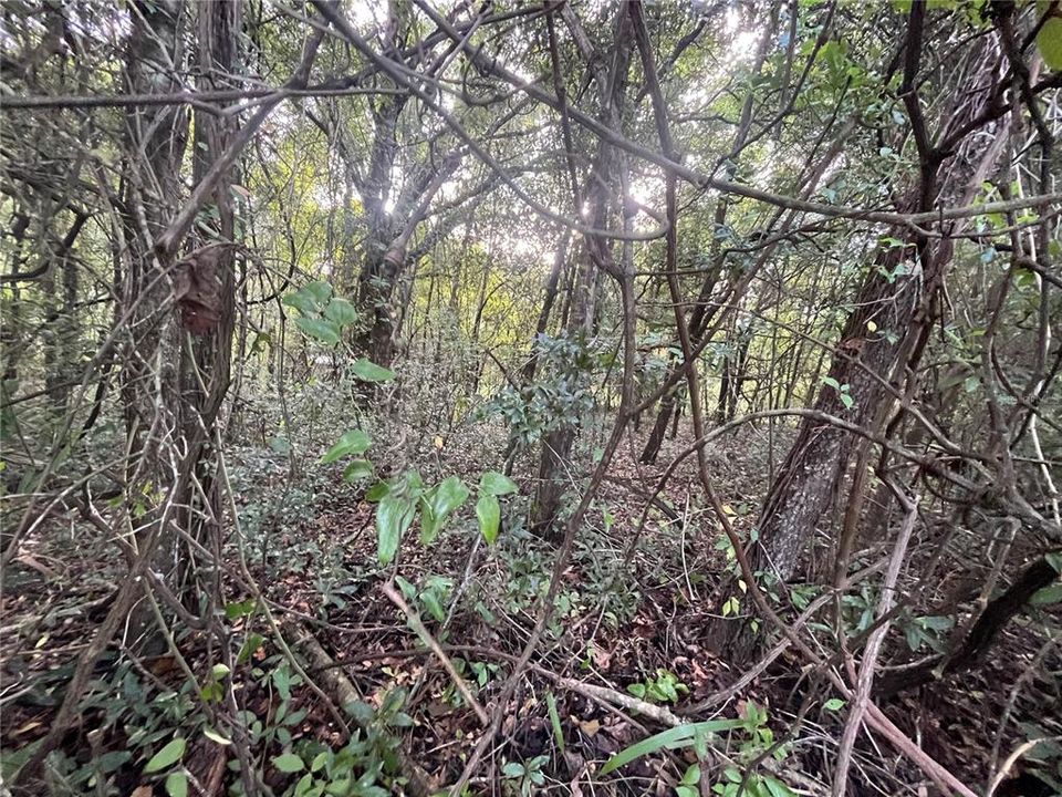 待售: $7,600 (0.22 acres)