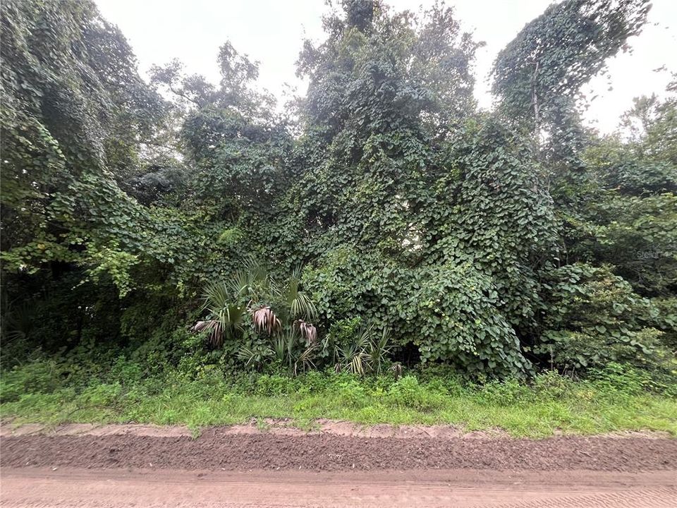 待售: $7,600 (0.22 acres)