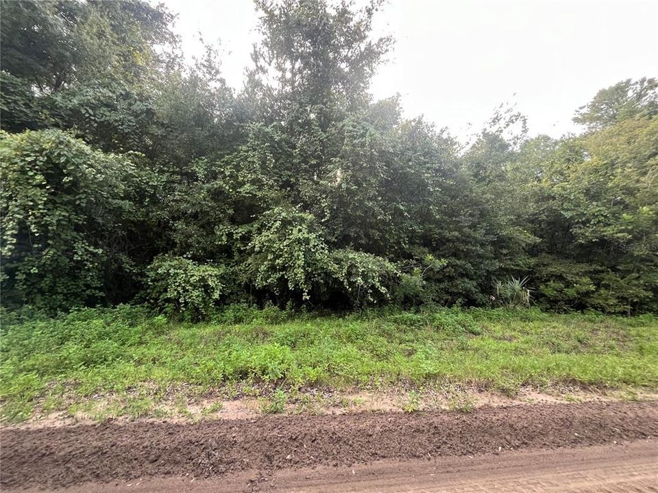 待售: $7,600 (0.22 acres)