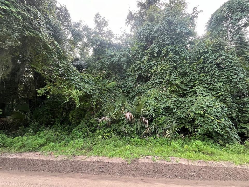 待售: $7,600 (0.22 acres)