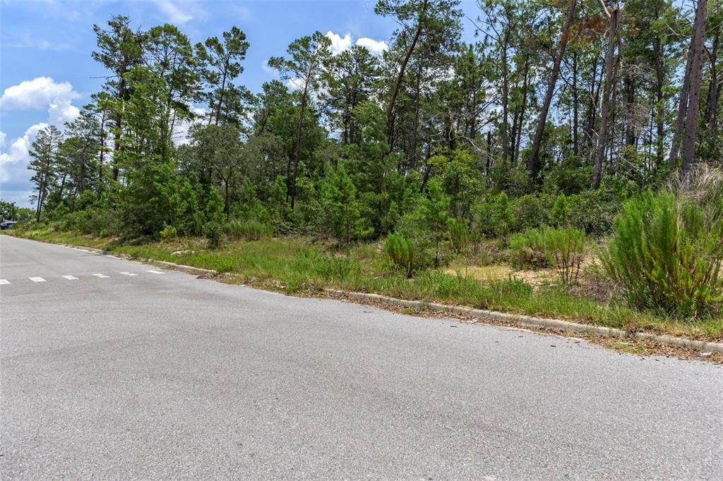 На продажу: $1,250,000 (3.55 acres)