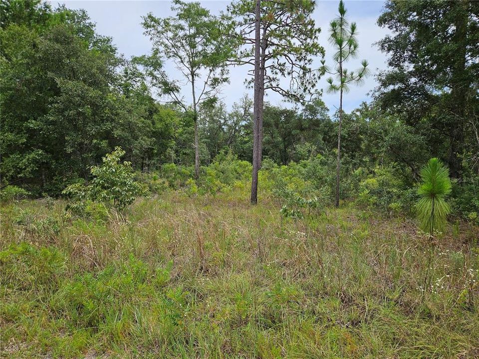 Недавно продано: $7,500 (0.23 acres)