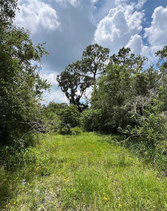 Active With Contract: $185,000 (2.62 acres)