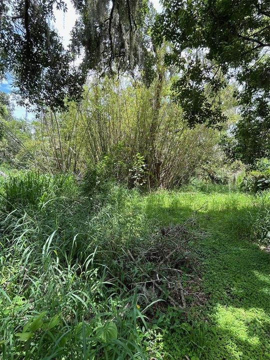 Active With Contract: $185,000 (2.62 acres)