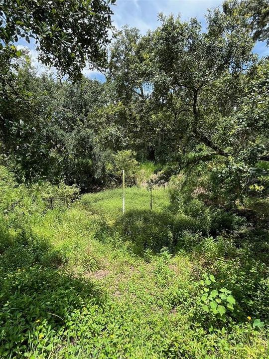 Active With Contract: $185,000 (2.62 acres)