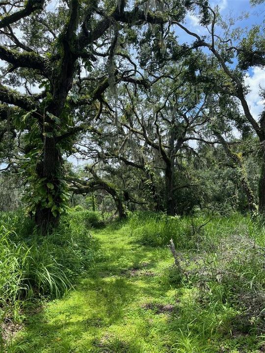 Active With Contract: $185,000 (2.62 acres)