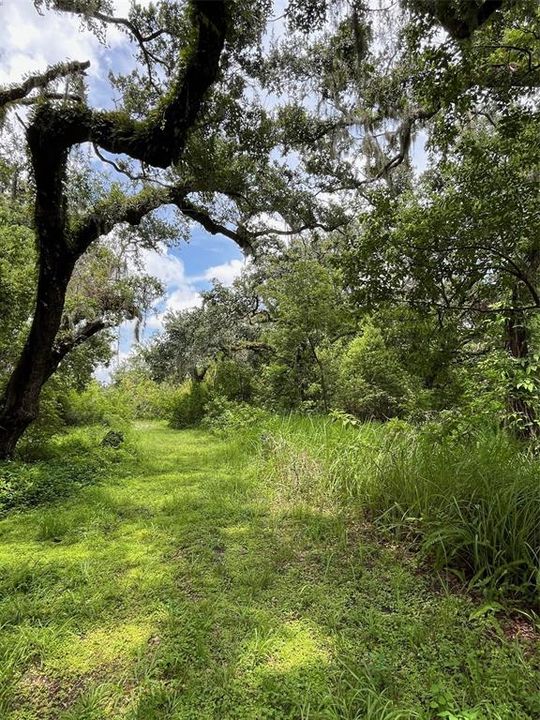 Active With Contract: $185,000 (2.62 acres)