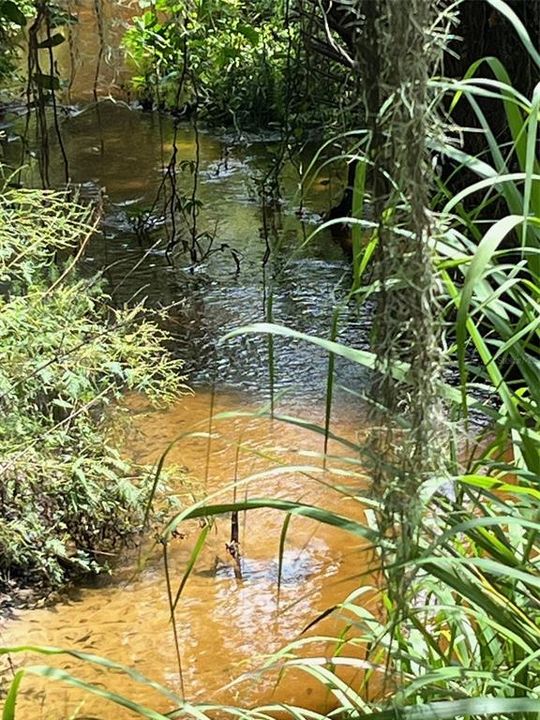 Active With Contract: $185,000 (2.62 acres)