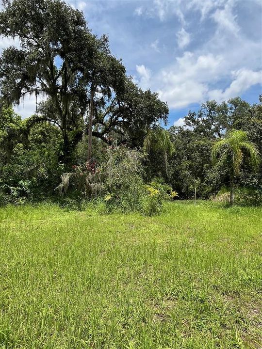 Active With Contract: $185,000 (2.62 acres)