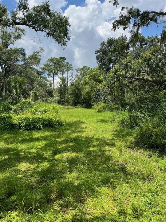 Active With Contract: $185,000 (2.62 acres)