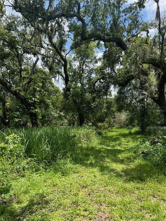 Active With Contract: $185,000 (2.62 acres)