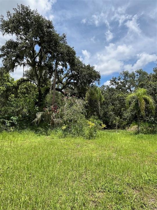 Active With Contract: $185,000 (2.62 acres)