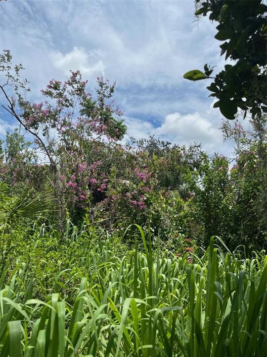 Active With Contract: $185,000 (2.62 acres)