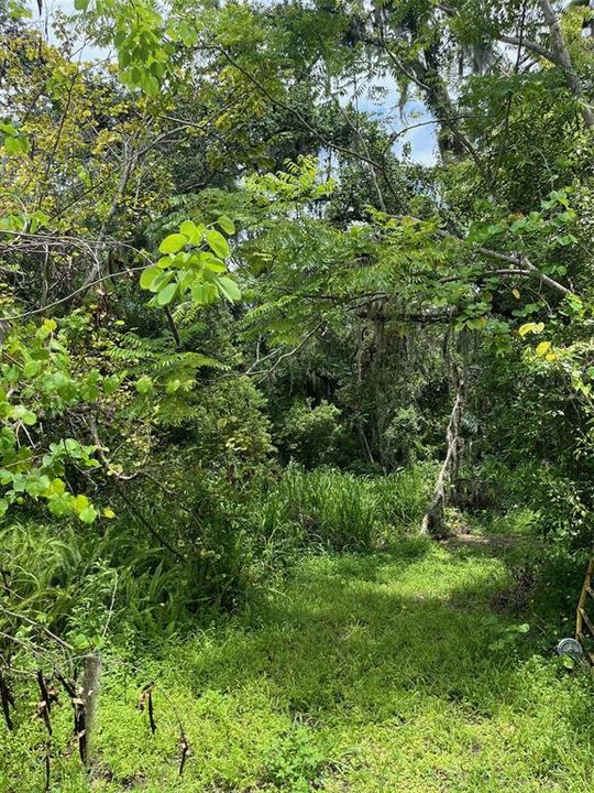 Active With Contract: $185,000 (2.62 acres)