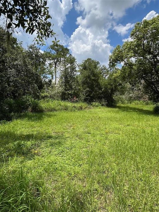 Active With Contract: $185,000 (2.62 acres)