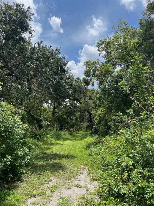 Active With Contract: $185,000 (2.62 acres)