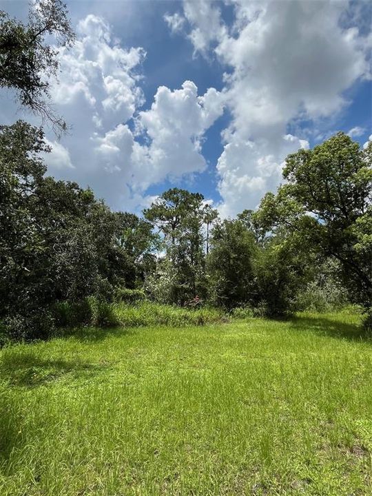 Active With Contract: $185,000 (2.62 acres)