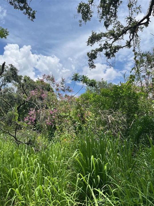 Active With Contract: $185,000 (2.62 acres)