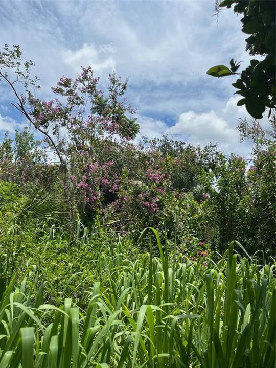 Active With Contract: $185,000 (2.62 acres)