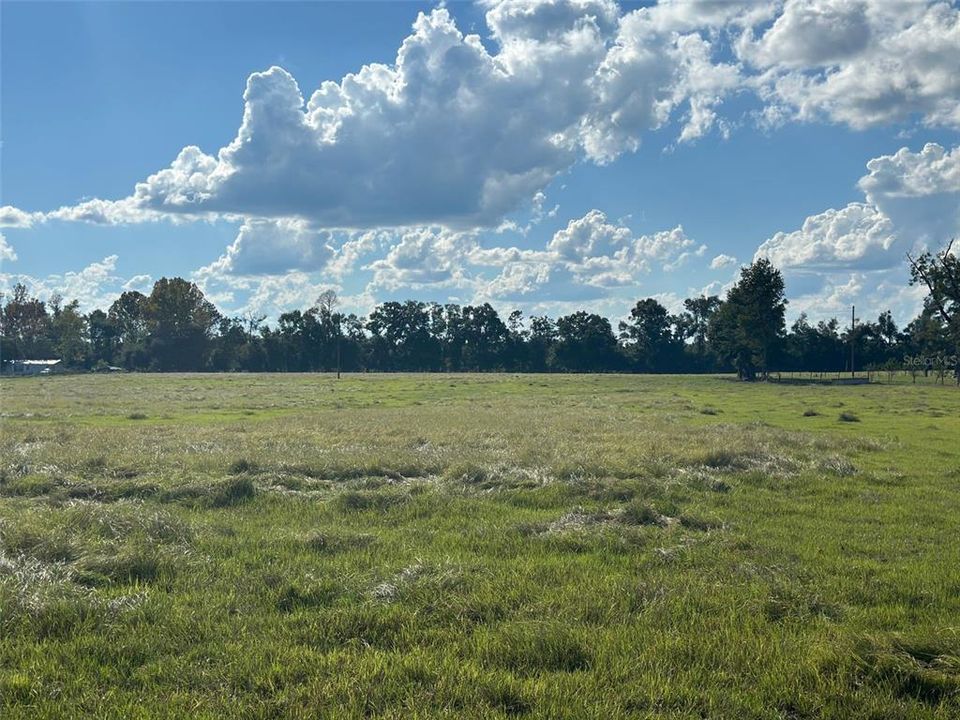 For Sale: $150,000 (10.00 acres)