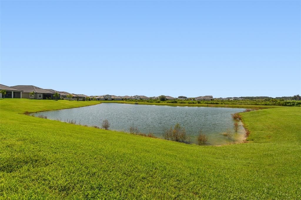 For Sale: $504,990 (3 beds, 2 baths, 2349 Square Feet)