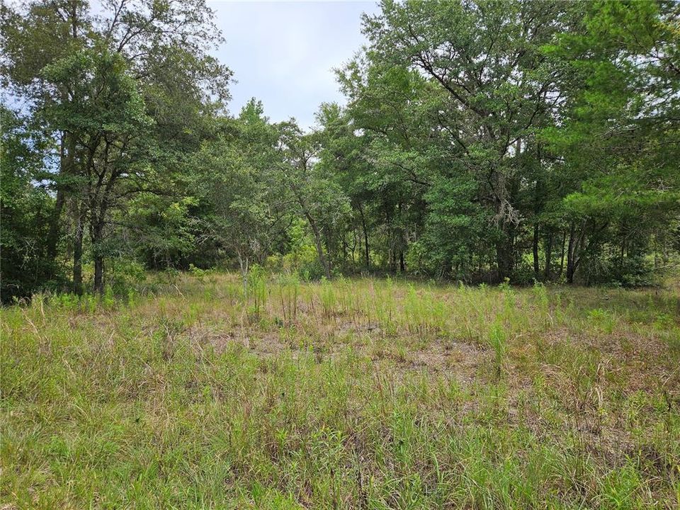 Недавно продано: $7,500 (0.23 acres)