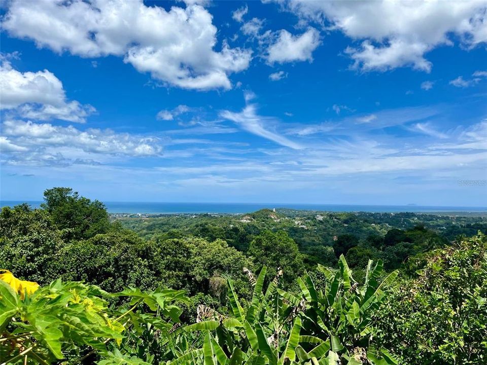 Recently Sold: $179,900 (10.70 acres)