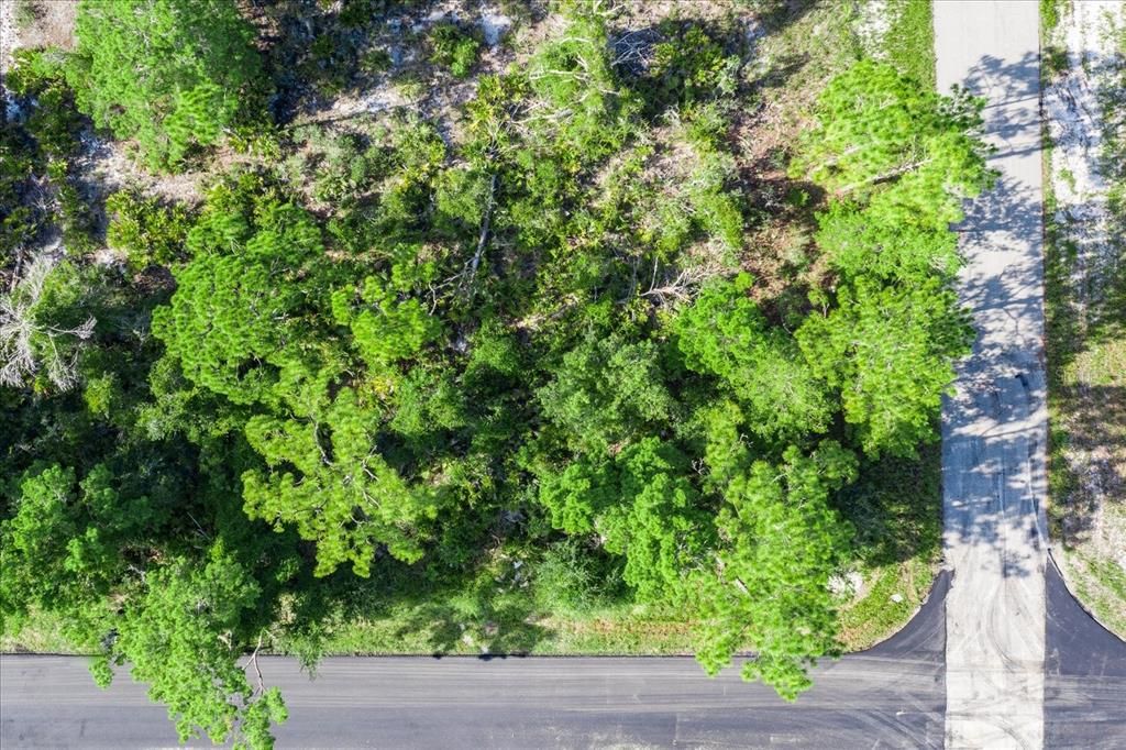 待售: $17,999 (0.29 acres)