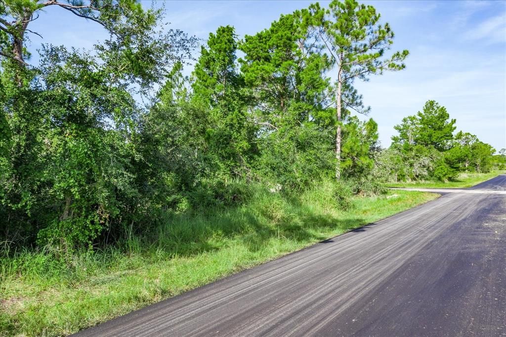 待售: $17,999 (0.29 acres)