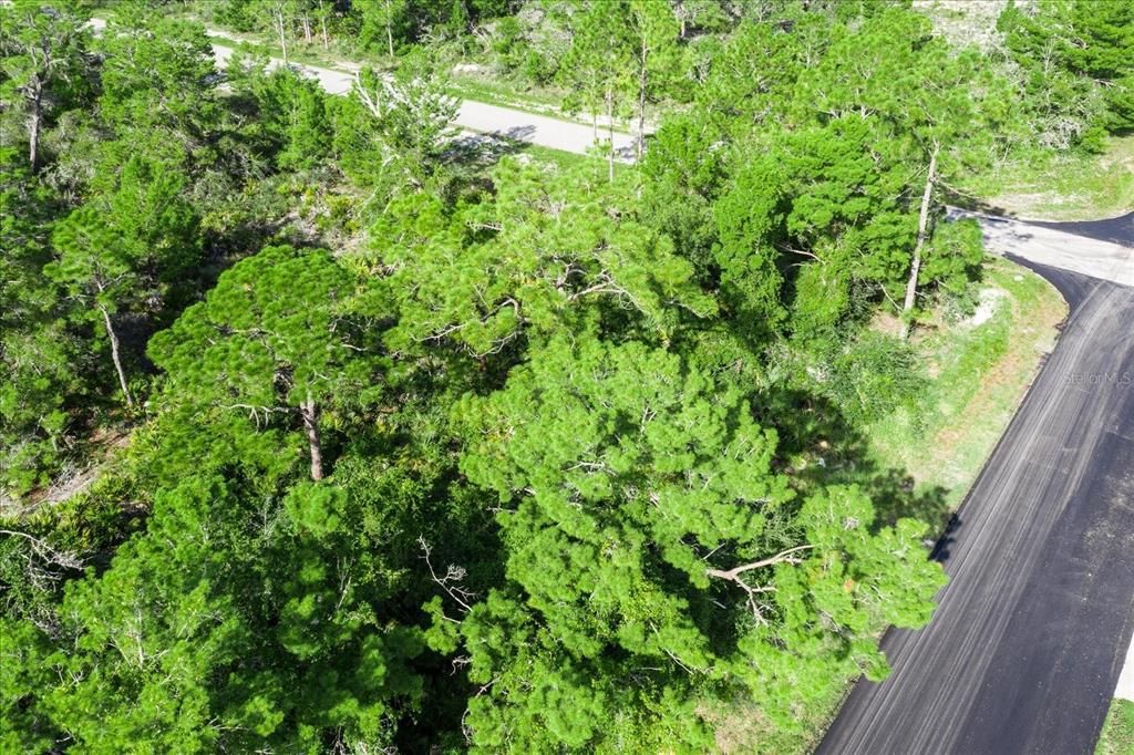 待售: $17,999 (0.29 acres)