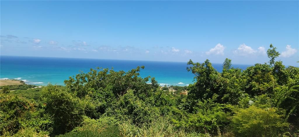 For Sale: $112,500 (2.47 acres)