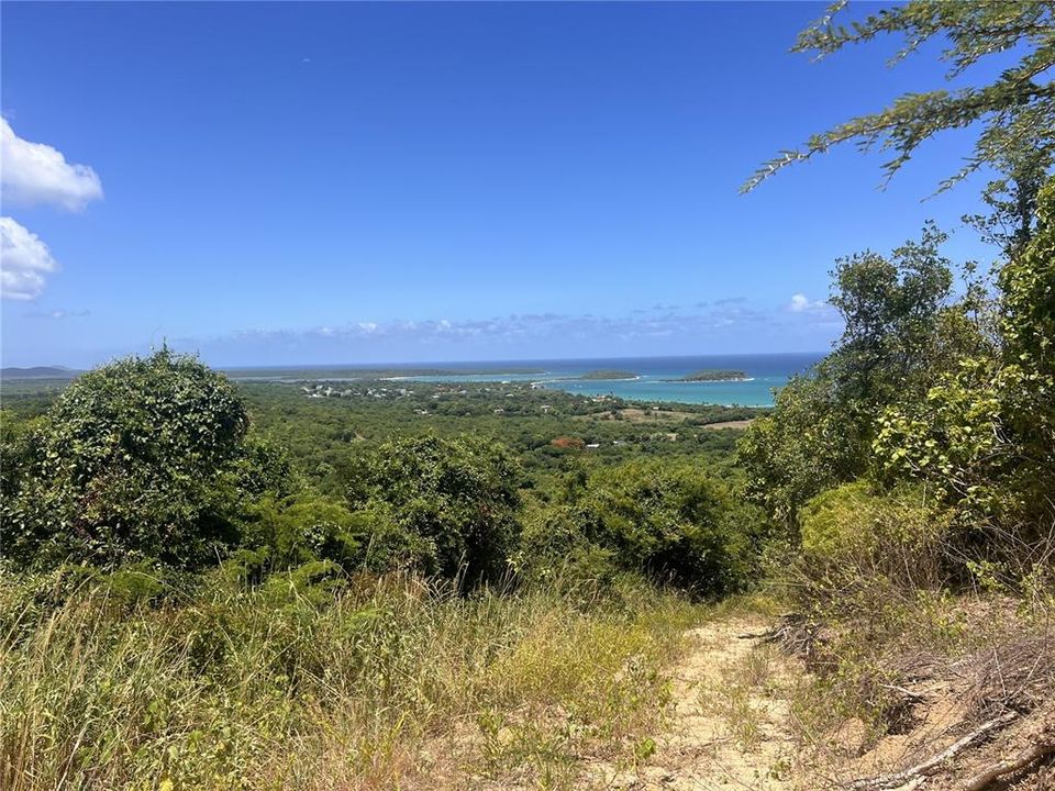 For Sale: $112,500 (2.47 acres)