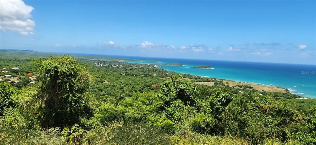 For Sale: $112,500 (2.47 acres)