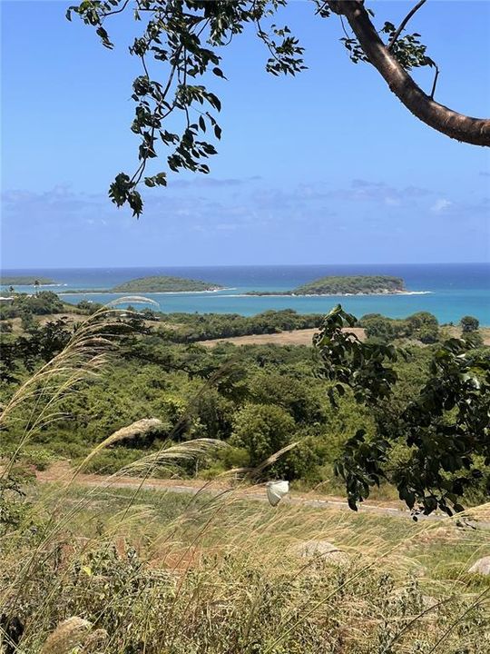 For Sale: $112,500 (2.47 acres)