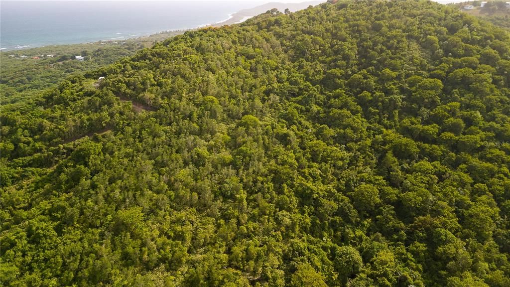 For Sale: $112,500 (2.47 acres)