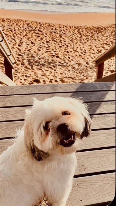 For Sale: $100,000 (0.17 acres)