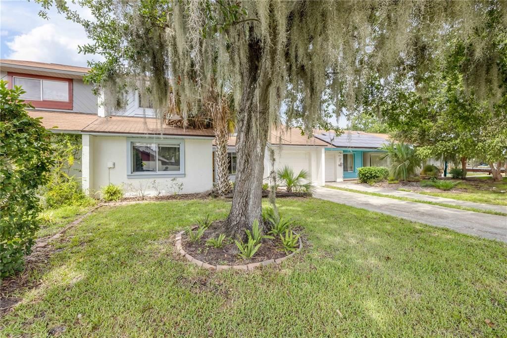 Activo con contrato: $250,000 (3 camas, 2 baños, 1533 Pies cuadrados)