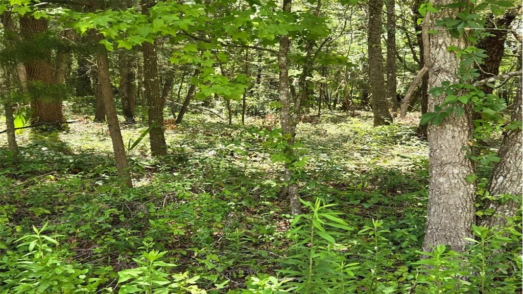 En Venta: $19,900 (0.56 acres)