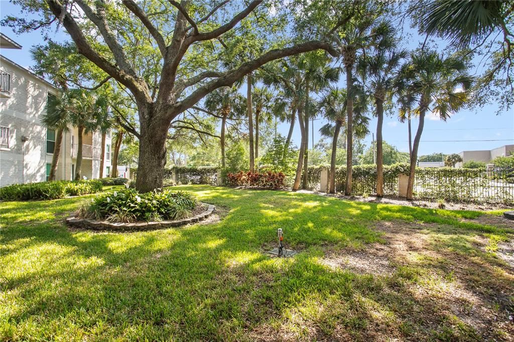 Под контрактом: $349,500 (2 спален, 2 ванн, 936 Квадратных фут)