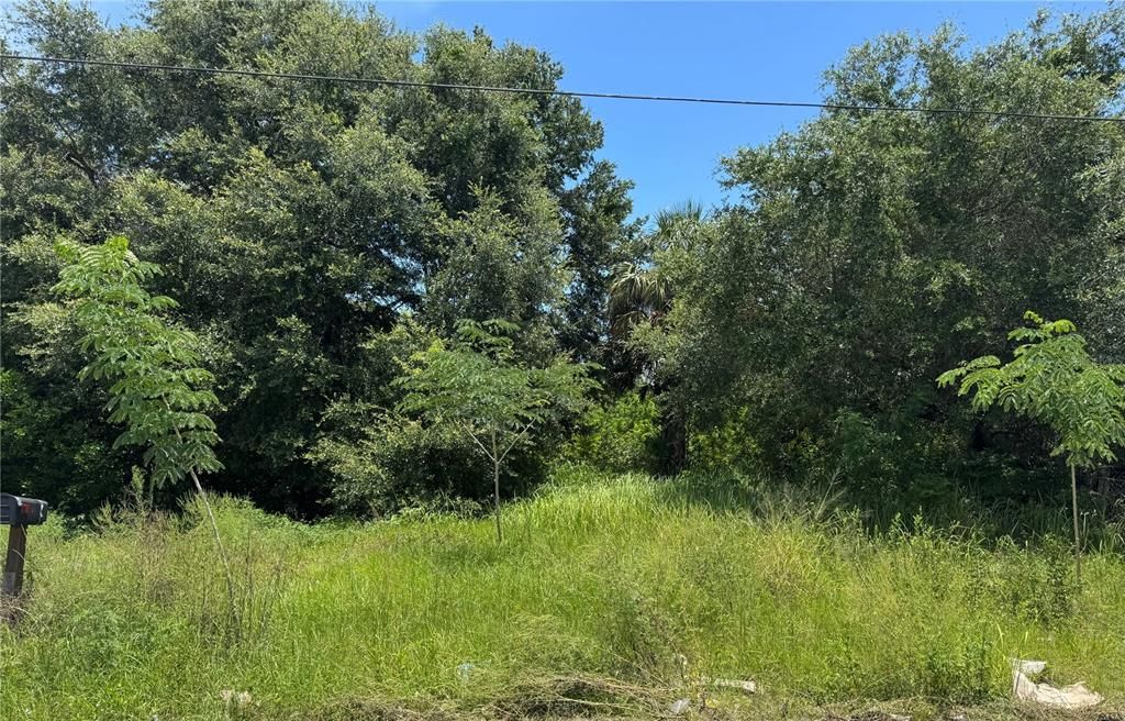 Vendido Recientemente: $16,000 (0.25 acres)